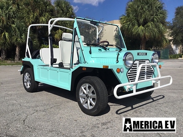 Mint Mokee 4 Passenger Golf Cart affordable golf cart rental, golf cart rent marathon
